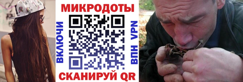 Галлюциногенные грибы Psilocybine cubensis  Харовск 